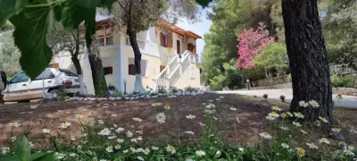 Pine tree house - Troulos