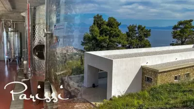 Parissis Eden Villas Skiathos - Troulos