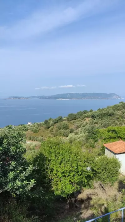 Angelinas House - Glossa