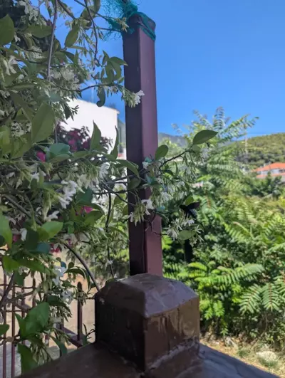 Alexios Studios - Neo Klima