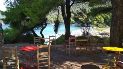 La Belle Merle - Panormos