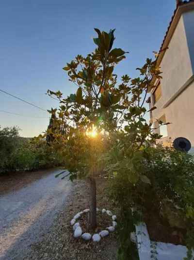 Giasemi house with sea view - Panormos