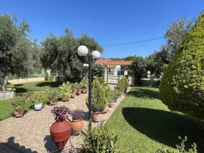 Studios Filippos - Skopelos Città