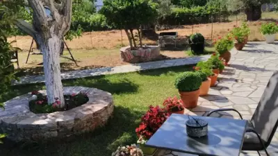 Anna George Studios - Stafylos