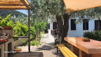 Skopelos Evergreen Apartments - Stafylos