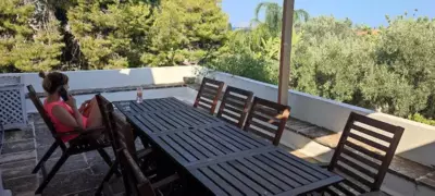 Two Olive Trees - Spetses