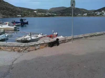 Manousos' Rooms - Galissas