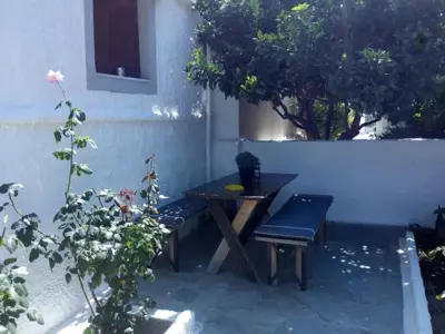 Magnolia Senses - Kinion