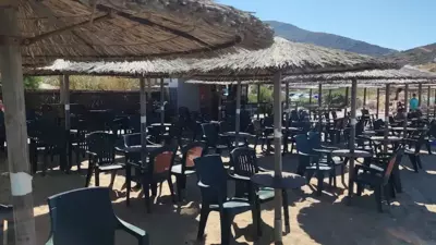 Tramonto Nel Delfini - Kinion