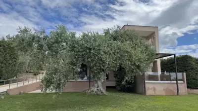 Aventura Village - Potos