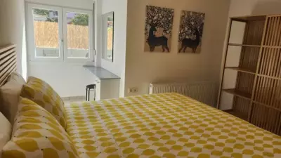 The Lemon Tree - Potos