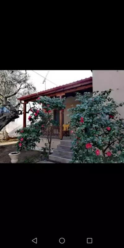 John and Tania's Garden - Prinos