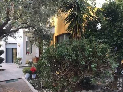 Cactus Suite - Prinos