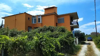 Johny's Studios - Prinos