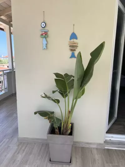 Evel House - Skala Kallirachis