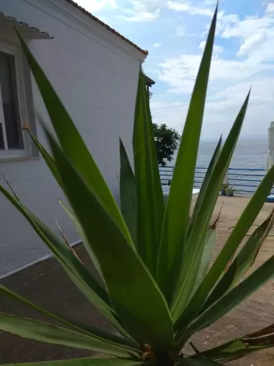 Skiron House - Skala Kallirachis