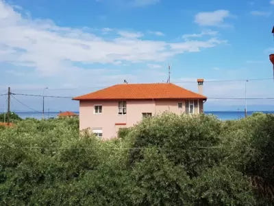 Amarilia - Skala Rachoniou