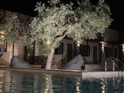 The Olive Hills - Skala Rachoniou