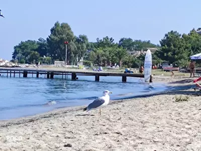 SYKA Thassos - Apartment down floor SKALA RACHONIOU - Skala Rachoniou