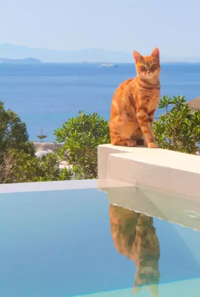 Villa with View of Agios Ioannis and Pool with Jacuzzi - Agios Ioannis