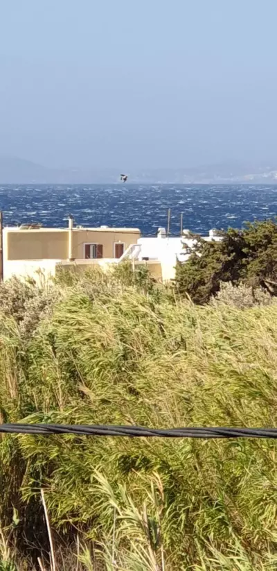 Standing Stone - Kionia