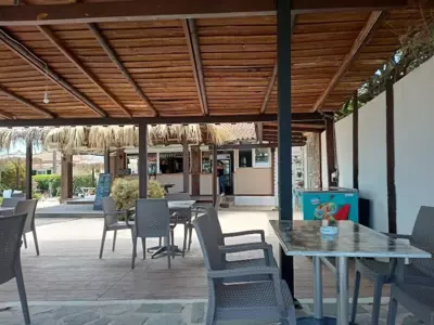 Palm Tree Beach Suites, by ZanteWize - Alykes