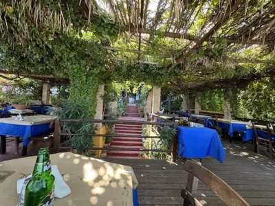 Oasis - Harbor House - Lithakia