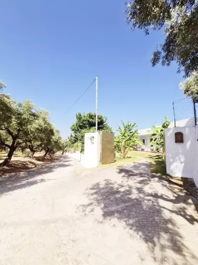 LECÉLESTE - Lithakia