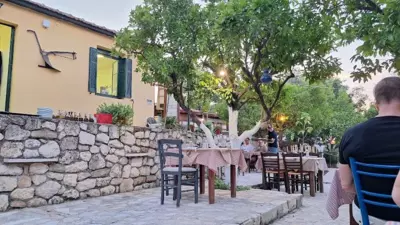 The Olive Grove - Planos