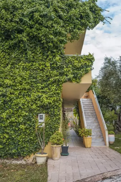 Abelia Boutique Rooms - Tsilivi