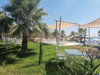 Ammos Sea Front Rooms - Adults only - Vasilikos